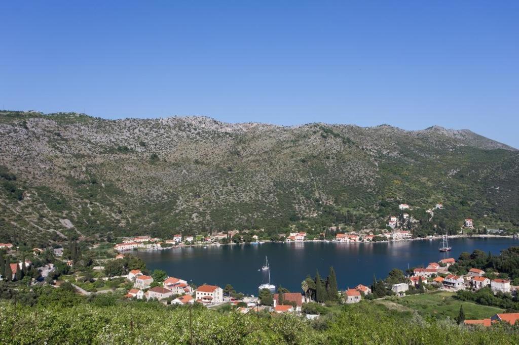 Villa Malfi Zaton  Rum bild