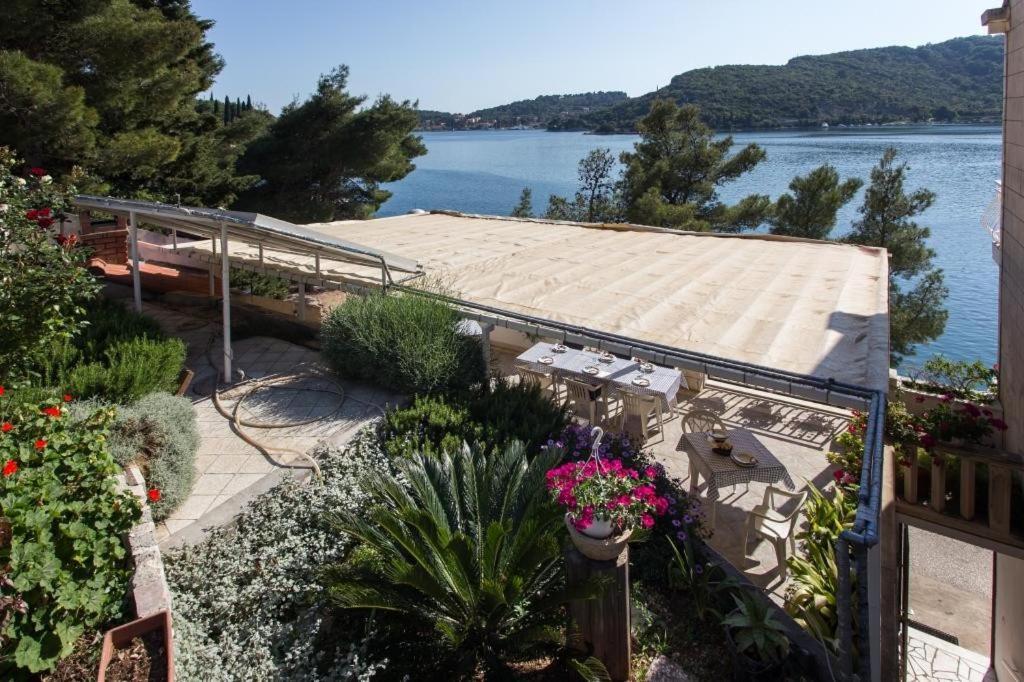 Villa Malfi Zaton  Rum bild
